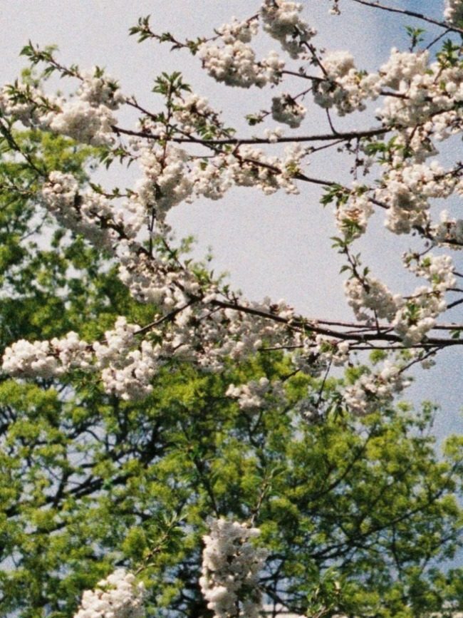 Foto zu Leistungen
